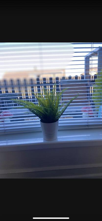 Sea View Terrace Villa Donaghadee Екстериор снимка